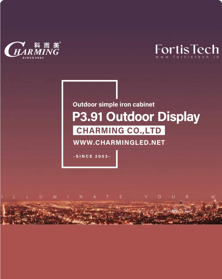 P3.91 Outdoor Simple...